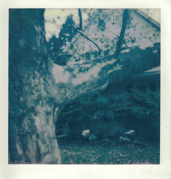 Nocht The Only Ghouls : Swefnes Wòma (CDr, Album)